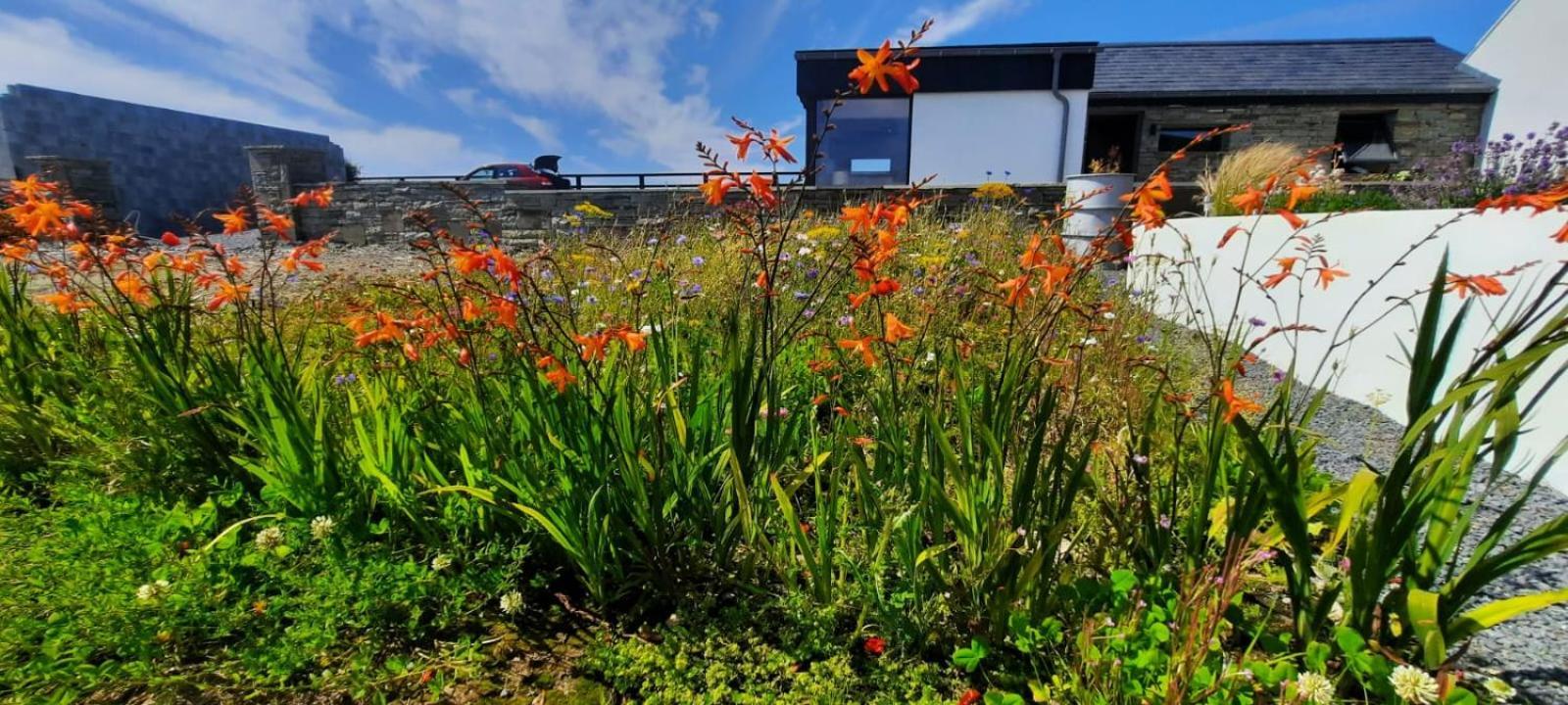 ליסקאנור Rose Meadow Lodge מראה חיצוני תמונה